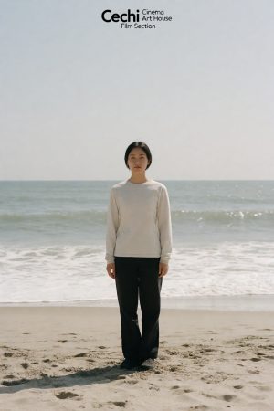 策驰影院电影区文艺片封面,低饱和度色调,人物独自站在海边